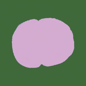 Mizu