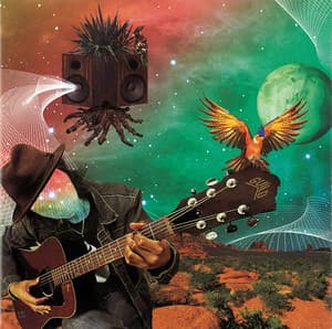 Trip in the music
