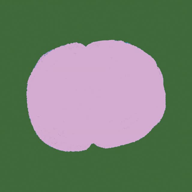 アルバム画像
