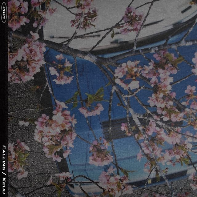 アルバム画像