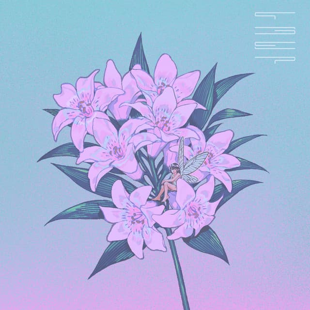 アルバム画像