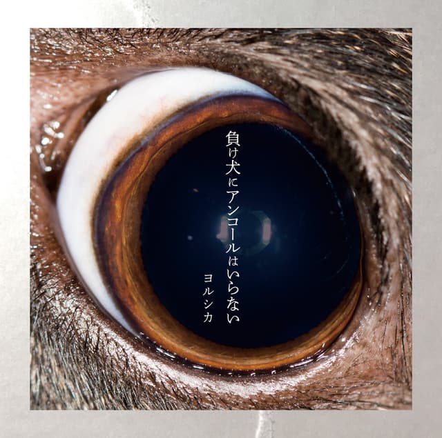 アルバム画像