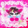 トラック画像