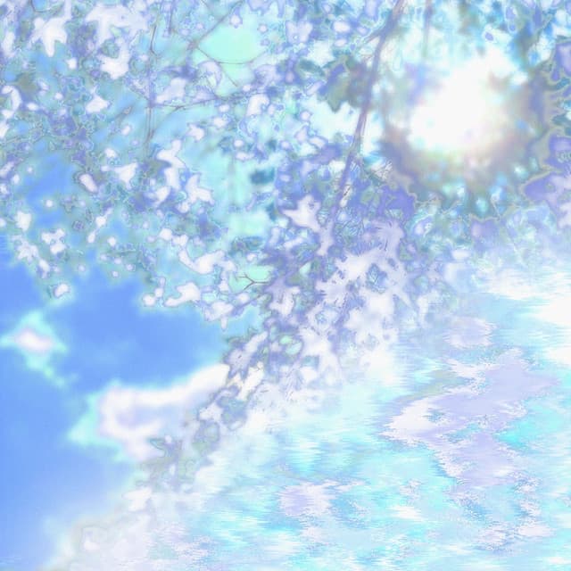 アルバム画像