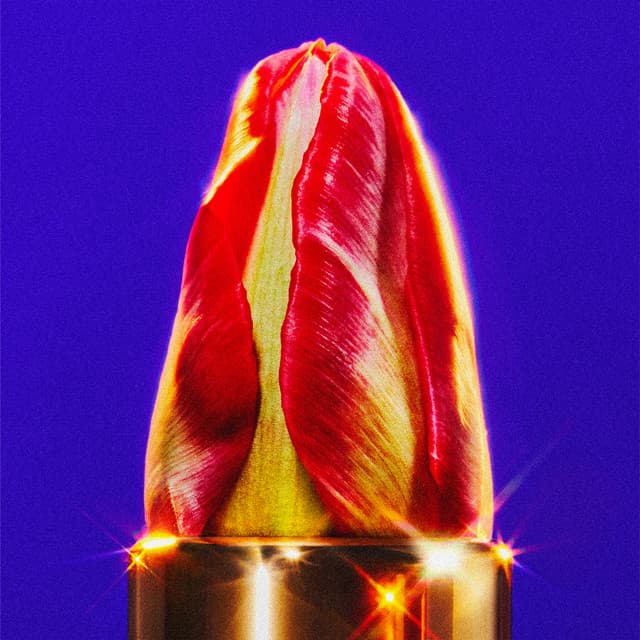 アルバム画像